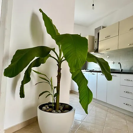 White Shell I ,durres Area Apartment